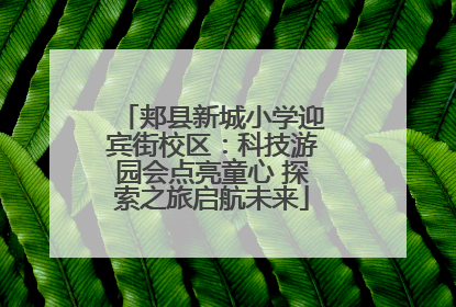 郏县新城小学迎宾街校区：科技游园会点亮童心 探索之旅启航未来