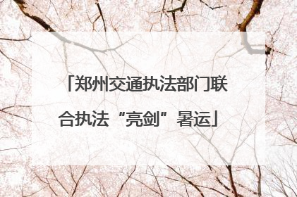 郑州交通执法部门联合执法“亮剑”暑运