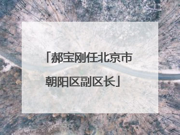 郝宝刚任北京市朝阳区副区长