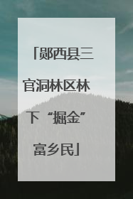 郧西县三官洞林区林下“掘金”富乡民