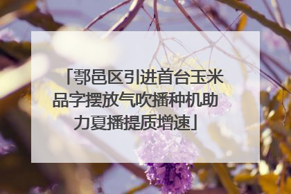鄠邑区引进首台玉米品字摆放气吹播种机助力夏播提质增速