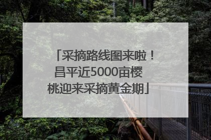 采摘路线图来啦！昌平近5000亩樱桃迎来采摘黄金期