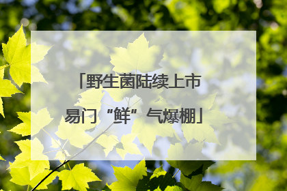野生菌陆续上市 易门“鲜”气爆棚