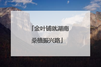 金叶铺就湖南桑植振兴路