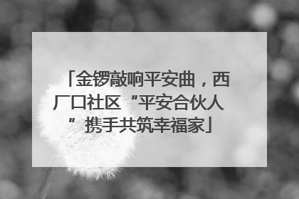 金锣敲响平安曲，西厂口社区“平安合伙人”携手共筑幸福家