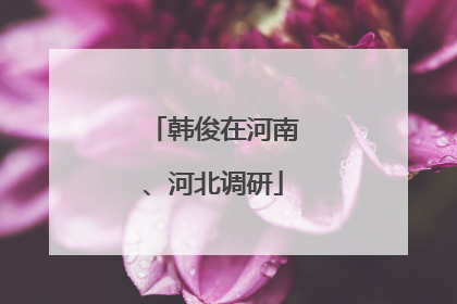 韩俊在河南、河北调研