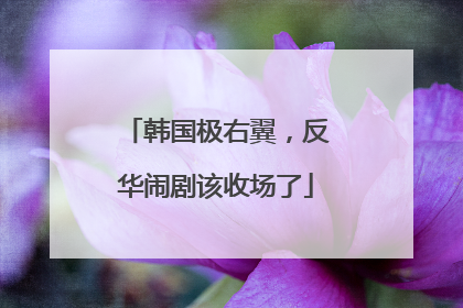 韩国极右翼，反华闹剧该收场了