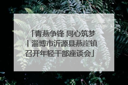 青燕争锋 同心筑梦丨淄博市沂源县燕崖镇召开年轻干部座谈会