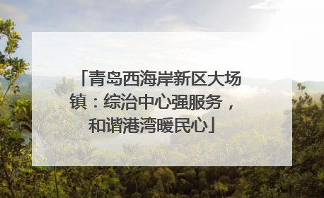 青岛西海岸新区大场镇：综治中心强服务，和谐港湾暖民心