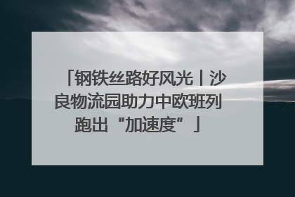 钢铁丝路好风光丨沙良物流园助力中欧班列跑出“加速度”