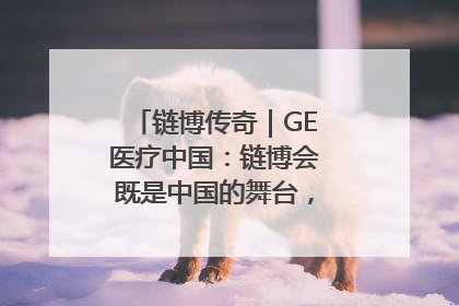 链博传奇｜GE医疗中国：链博会既是中国的舞台，也是世界的橱窗