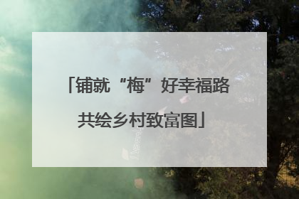 铺就“梅”好幸福路 共绘乡村致富图
