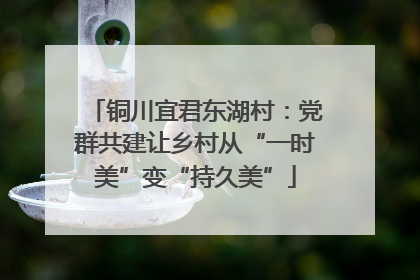 铜川宜君东湖村：党群共建让乡村从“一时美”变“持久美”