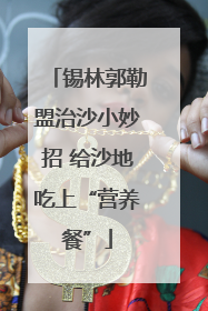 锡林郭勒盟治沙小妙招 给沙地吃上“营养餐”