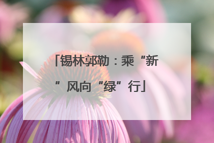 锡林郭勒：乘“新”风向“绿”行