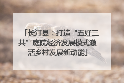 长汀县：打造“五好三共”庭院经济发展模式激活乡村发展新动能