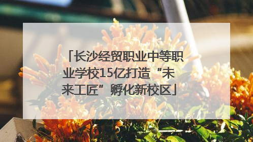 长沙经贸职业中等职业学校15亿打造“未来工匠”孵化新校区