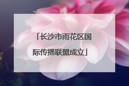 长沙市雨花区国际传播联盟成立