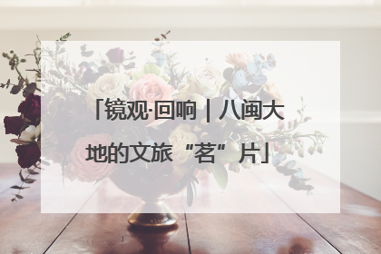 镜观·回响｜八闽大地的文旅“茗”片