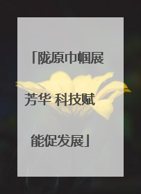 陇原巾帼展芳华 科技赋能促发展