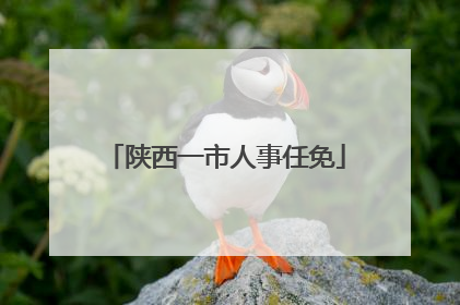 陕西一市人事任免