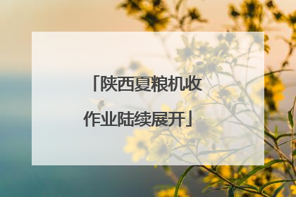 陕西夏粮机收作业陆续展开