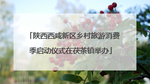 陕西西咸新区乡村旅游消费季启动仪式在茯茶镇举办