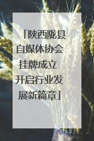 陕西陇县自媒体协会挂牌成立 开启行业发展新篇章