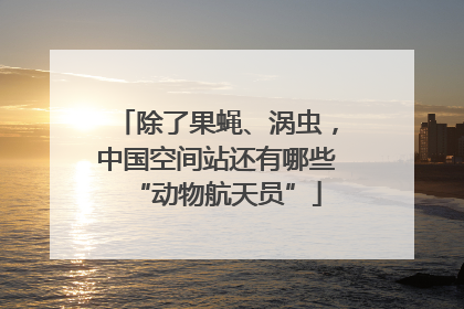 除了果蝇、涡虫，中国空间站还有哪些“动物航天员”