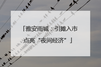 雅安雨城：引摊入市 点亮“夜间经济”