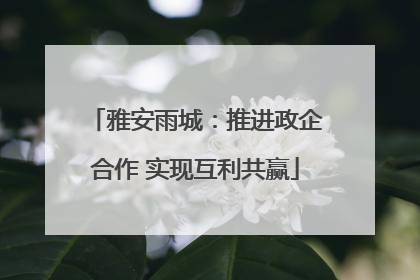雅安雨城：推进政企合作 实现互利共赢