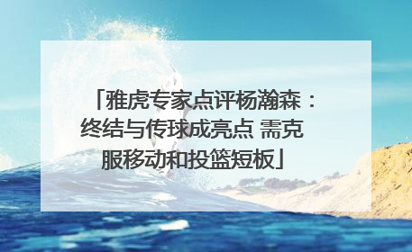 雅虎专家点评杨瀚森：终结与传球成亮点 需克服移动和投篮短板