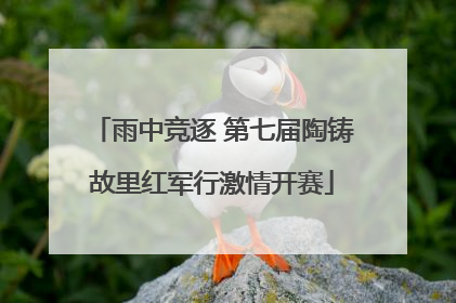 雨中竞逐 第七届陶铸故里红军行激情开赛
