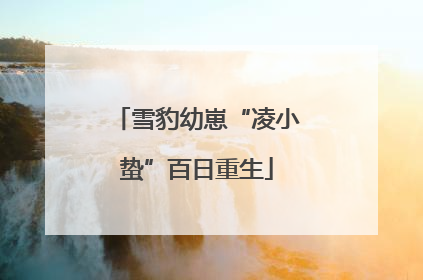 雪豹幼崽“凌小蛰”百日重生