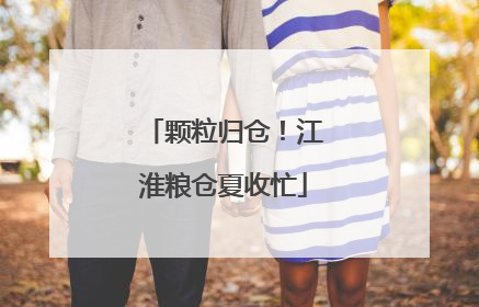 颗粒归仓！江淮粮仓夏收忙
