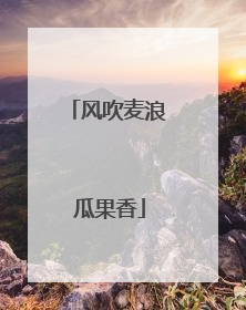 风吹麦浪 瓜果香