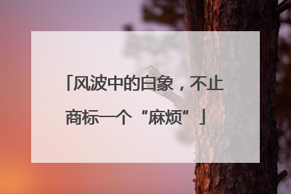 风波中的白象，不止商标一个“麻烦”
