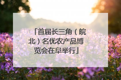 首届长三角（皖北）名优农产品博览会在阜举行