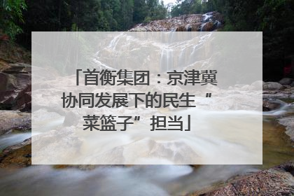 首衡集团：京津冀协同发展下的民生“菜篮子”担当