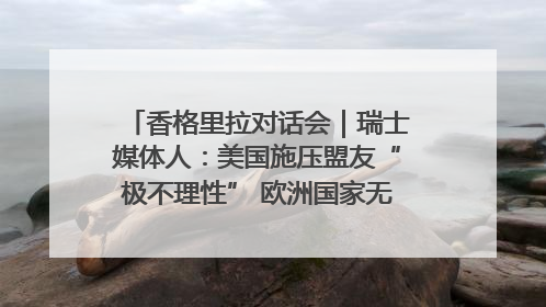 香格里拉对话会｜瑞士媒体人：美国施压盟友“极不理性” 欧洲国家无意与中国“脱钩断链”