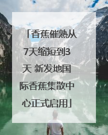 香蕉催熟从7天缩短到3天 新发地国际香蕉集散中心正式启用