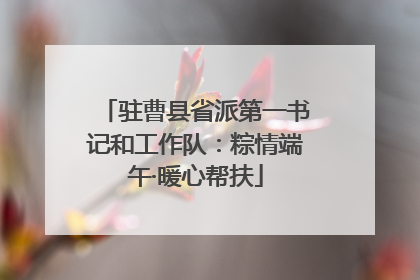 驻曹县省派第一书记和工作队：粽情端午·暖心帮扶
