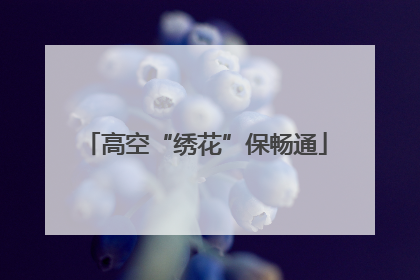 高空“绣花”保畅通