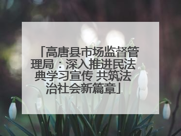 高唐县市场监督管理局：深入推进民法典学习宣传 共筑法治社会新篇章