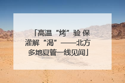 高温“烤”验 保灌解“渴”——北方多地夏管一线见闻
