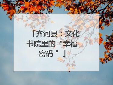 齐河县：文化书院里的“幸福密码 ”