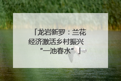龙岩新罗：兰花经济激活乡村振兴“一池春水”