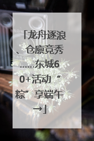 龙舟逐浪、仓廪竞秀……东城60+活动“粽”享端午→