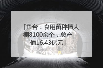 鱼台：食用菌种植大棚8100余个，总产值16.43亿元