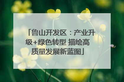 鲁山开发区：产业升级+绿色转型 描绘高质量发展新蓝图